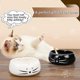 thumbnail image 4 of Winter campaign, cute cat ashtray ceramic ashtray decorative ashtray home office ashtray black and white 2 pieces, 4 of 5
