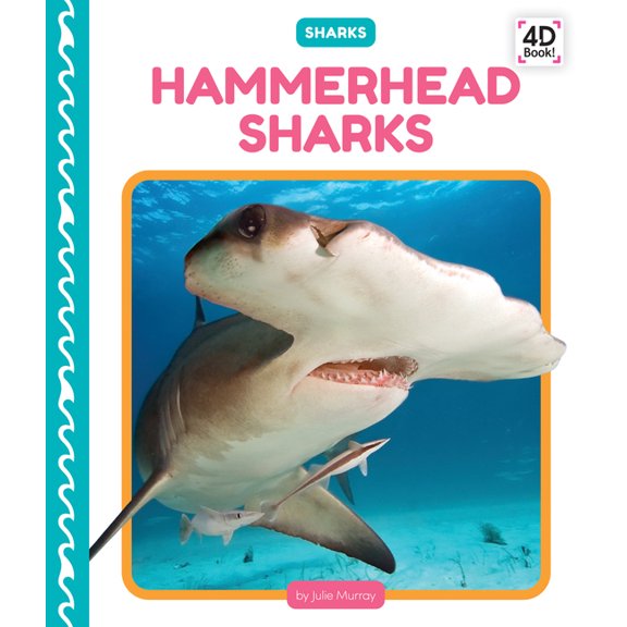 Sharks (Pop) Hammerhead Sharks, (Hardcover)