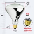 2-Pack 250W R40 Red Heat Lamp Bulbs - Infrared Flood for Heat Therapy ...