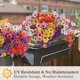 thumbnail image 5 of 24 paquetes de flores artificiales ColoPlay para interiores y exteriores, 5 of 7