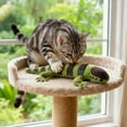 thumbnail image 4 of Lizard Catnip Toys Chew Resistant Toys, Interactive Toys for Indoor Pet Boredom Relief Teeth Cleaning, 4 of 4