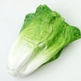 thumbnail image 4 of Langgg Fakes Fruit And Bowl Decoration Simulation Vegetable Models Artificial Lettuce Look Real Artificial B, 4 of 6