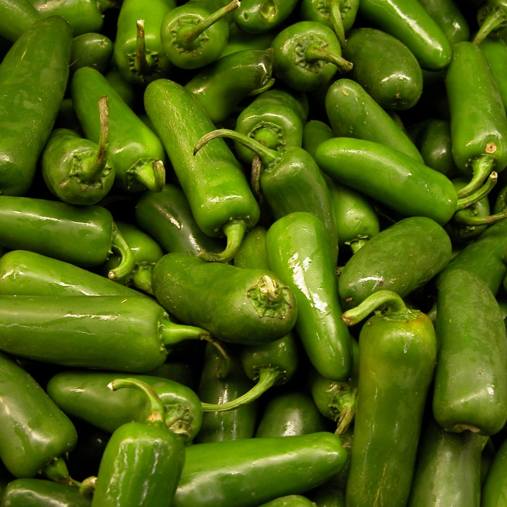 Monster Hybrid Jalapeno Garden Seeds 500 Seeds NonGMO Vegetable