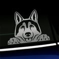 thumbnail image 1 of Peeking Husky - Vinyl Decal - Choose Color - [SILVER], 1 of 1