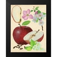 thumbnail image 2 of Wang, Melissa 12x14 Black Modern Framed Museum Art Print Titled - Apple and Blossom Study I, 2 of 5
