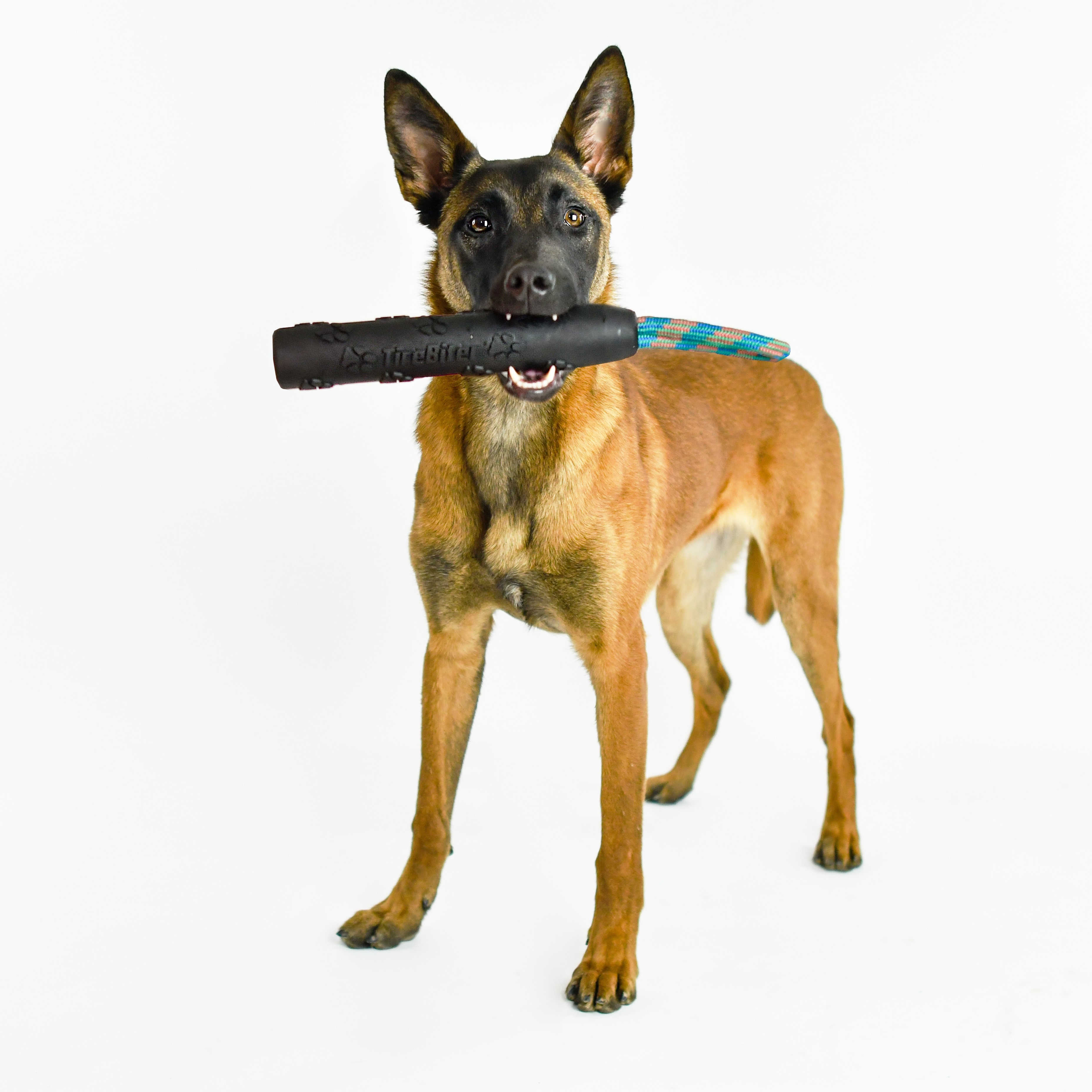 Mammoth TireBiter 11" Rubber Retriever Dog Toy with Rope photo 2