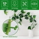 thumbnail image 3 of 10 fijadores de pared para plantas trepadoras de eneldo verde | Clips adhesivos antihuellas para sujetar plantas, para azulejos y vidrio de acero inoxidable | Diseño de perilla ajustable para, 3 of 5