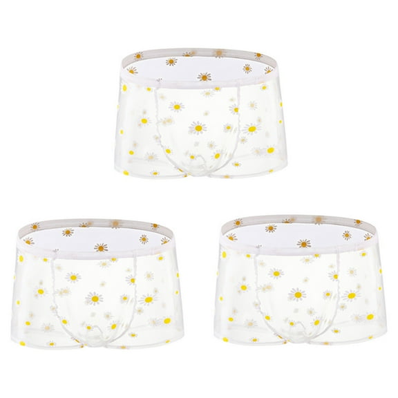 3PC Men's Ice Silk Boxer Briefs Sexy Transparent Mesh Daisy Print Breathable Moisture-Wicking Bulge Enhancing Lingerie for Men