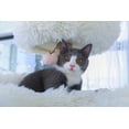 thumbnail image 5 of "Catry 74.5"" Beige 7-Level Cat Tree Tower for Big Adult Cats with Hammock Sisal Rope Scratching Post", 5 of 9
