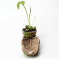 thumbnail image 3 of PENGXIANG Halloween Simulation Skull Flowerpot Retro Gothic Style Planter for Garden Yard, 3 of 5