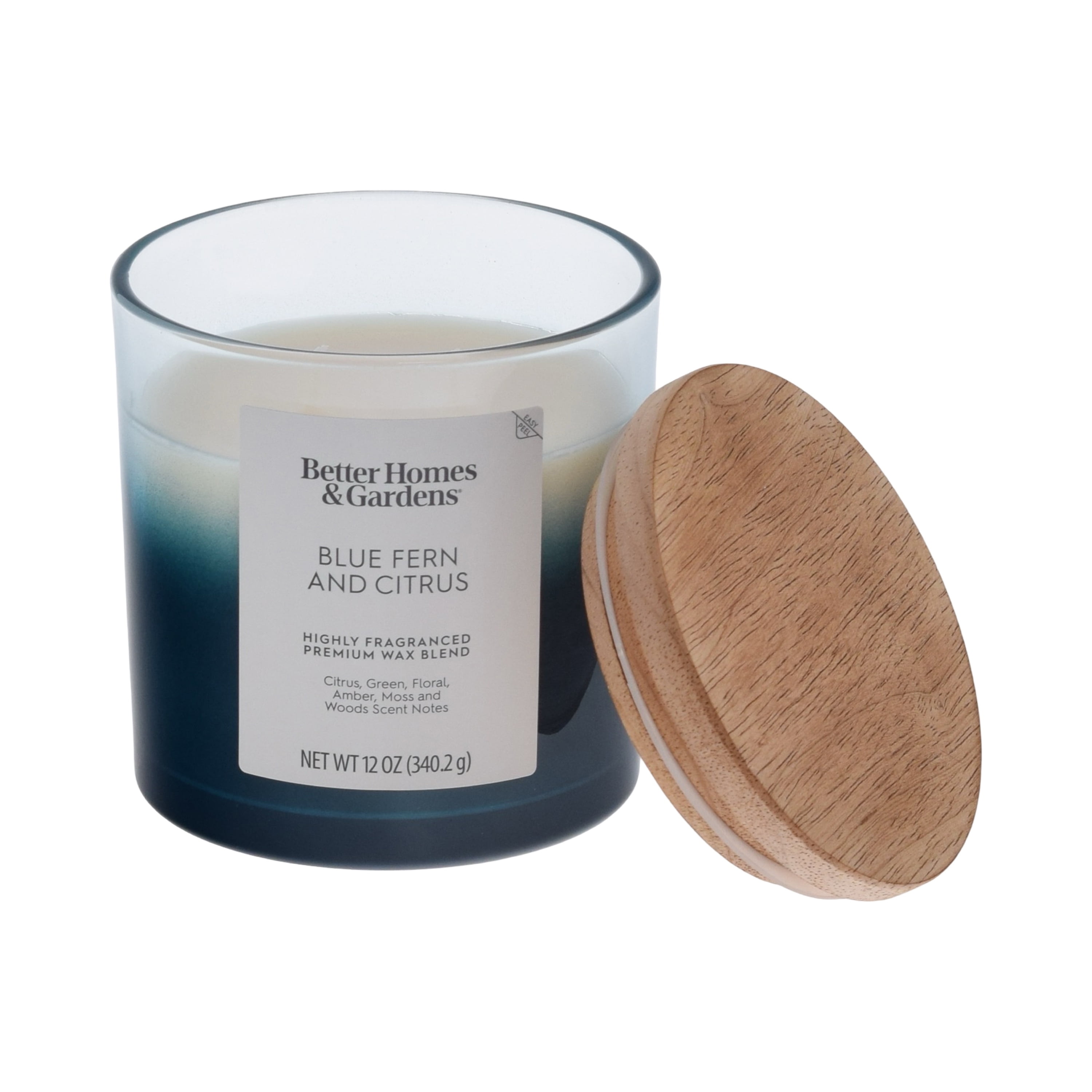 (4 pack) Better Homes and Gardens Blue Fern and Citrus Scented 2-Wick Ombre Jar Candle 12oz.