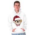 thumbnail image 5 of Cute Santa Pug Bulldog Christmas Hoodie Sweatshirt Women Men Brisco Brands L, 5 of 5