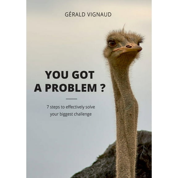 You got a problem ?: 7 steps to effectively solve your biggest challenge, (Paperback)