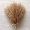 thumbnail image 4 of Ramo de hierba de pampa artificial, 10/15/30 piezas, flores falsas de pampas, decoración de juncos para habitación, hogar, boda, decoración navideña 2024, 4 of 5