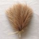thumbnail image 3 of Ramo de hierba de pampa artificial, 10/15/30 piezas, flores falsas de pampas, decoración de juncos para habitación, hogar, boda, decoración navideña 2024, 3 of 4