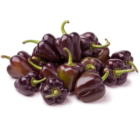 Pepper Seeds - Sweet - Minature Chocolate Bell - 1 Oz ~5 000 Seeds - Capsicum annuum - Farm & Garden Vegetable Seeds - Non-GMO Heirloom Open Pollinated Annual