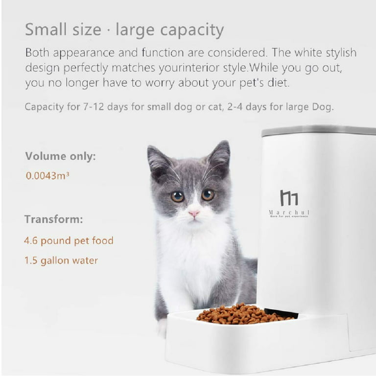 Automatic Cat Feeders Set Dog Feeder Set with Cat Food Dispenser