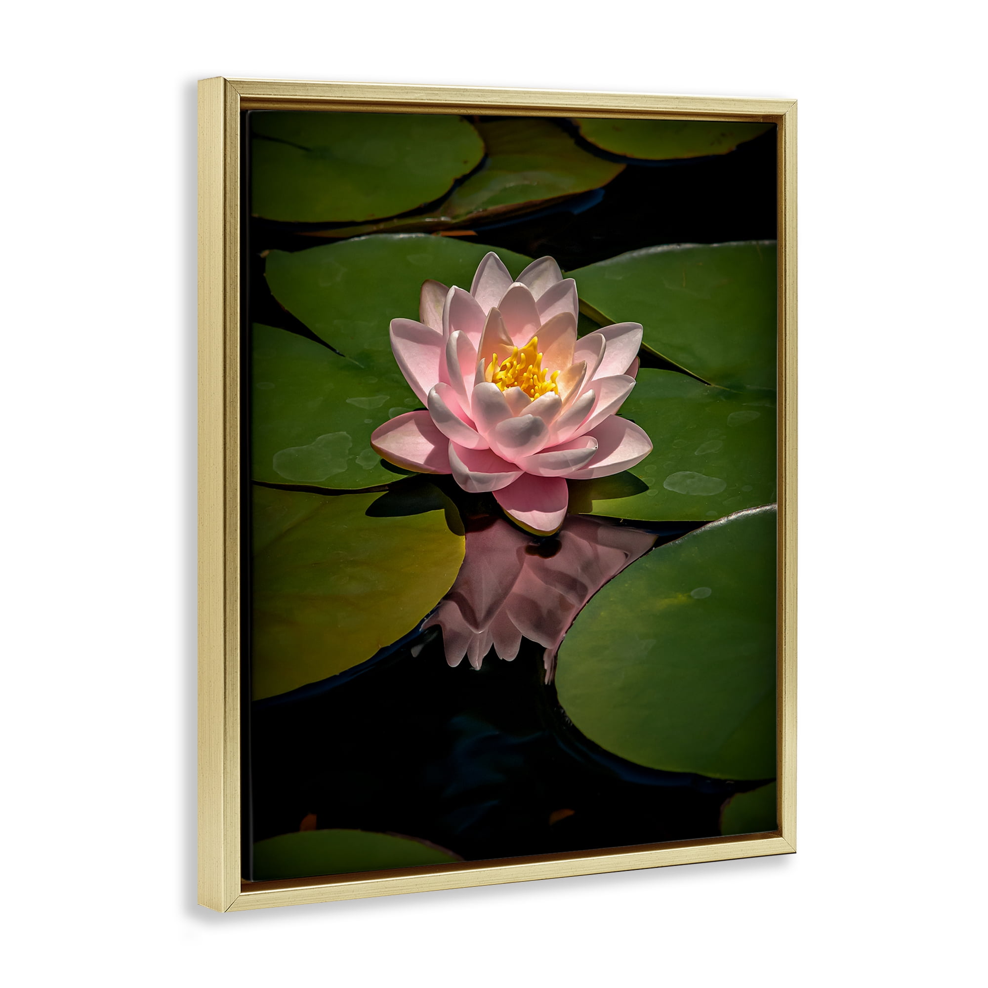 Pink Lotus Among Lily Pads Gold Framed Floater Canvas Wall Art, design by Phillip Flowers
