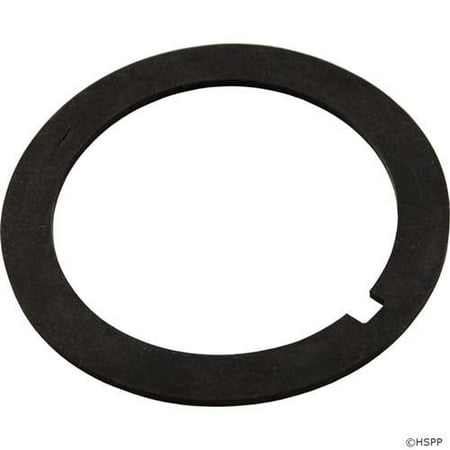 Pentair American Products Gasket, Titan/Sandpiper, Nchd, Bulkhead, 2-5/8