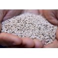 thumbnail image 4 of Turf Builder Starter Lawn Food 24-25-4 1.4kg /93m², 4 of 6
