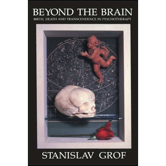Pre-Owned Beyond the Brain: Birth, Death, and Transcendence in Psychotherapy (Paperback) 0873958993 9780873958998