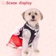 thumbnail image 4 of 2 piezas de vestido de perro pequeño para niña, vestido de cachorro, falda de perro, tutú para mascotas, vestido de princesa, vestidos de organza florales para cachorros, ropa para mascotas pequeñas a Namotu CZCW-ZC465-3, 4 of 7
