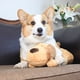 thumbnail image 5 of Mascota Cómodo Acurrucarse Descansando Juguete de peluche Latido del corazón Muñecas de entrenamiento conductual Hugtrwg  Para estrenar, 5 of 8