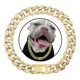 thumbnail image 1 of Collar De Cadena Para Mascotas, Perros Y Gatos De 15 Mm Con, 1 of 8