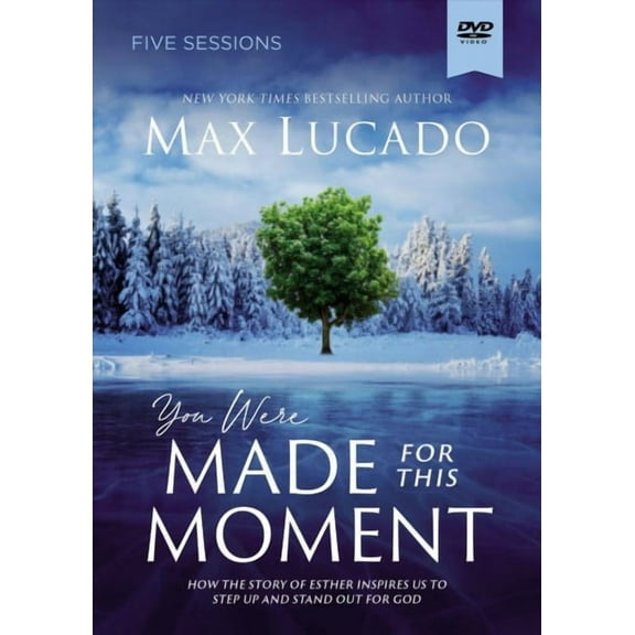 Dvd-You Were Made For This Moment Video Study