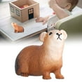 thumbnail image 4 of Fyydes Children Guinea Pig Model,Guinea Pig Model Highly Simulation Animal Model Children Cognitive Toy Desktop Decoration,Guinea Pig Model Toy, 4 of 8