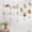 D, variant on Homesteed 145*70 Hanging Photo Display with Clips Photo Wall Decor String for Pictures Display Instant Photo Hanging for Home Dormitory and Cafe