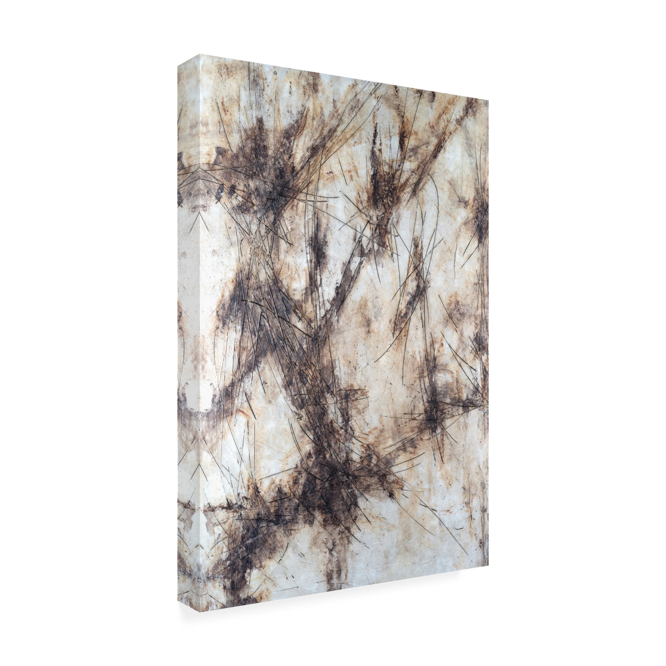 Canvas Wall Art - Michael Willett 'Etched stone I' Wall Art for Living Room, Bedroom, or Office Décor by Trademark Fine Art - 30 x 47 Inches