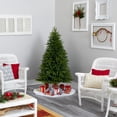 thumbnail image 7 of Nearly Natural Clear Prelit 200 LED Green Holiday Sun Valley Fir Artificial Christmas Tree, 5', 7 of 7