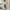 Beige, variant on Aloohaidyvio Cardigans for Women Plus Size,Women's 2024 Fashion Casual Open Front Long Sleeve Chunky Knit Cardigans Sweaters Outerwear Coats