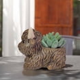 thumbnail image 3 of Highland Cow Planter, Resin Plant Pot, Small Decorative Animal Flower Container, Gift for Cow Lovers （Brown）, 3 of 6
