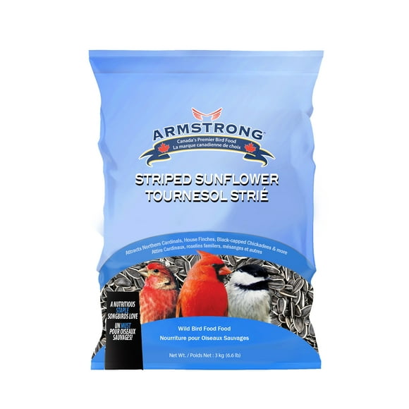 Easy Picken's Striped Sunflower Seed Wild Bird Food - 3 kg