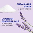 thumbnail image 2 of Sugar Scrub Dr. Teal's Lavender con manteca de karité 570 ml (paquete de 3), 2 of 8