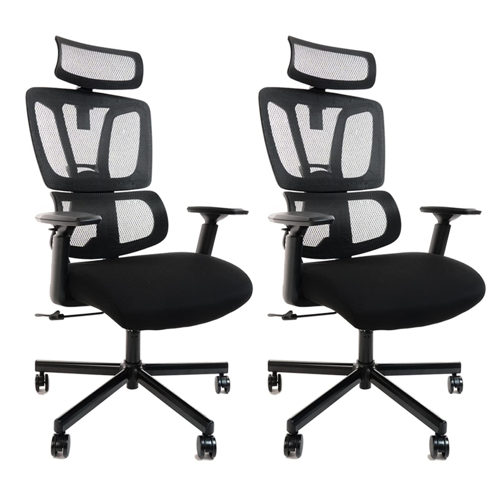 Clatina Ergonomic Office Chair with Lumbar Support and Mesh High Back