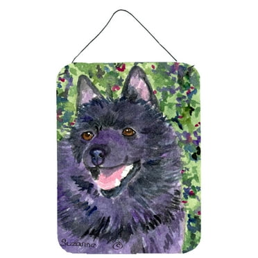 Schipperke Wall or Door Hanging Prints