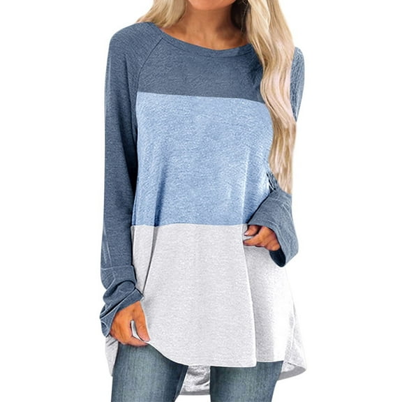 Women Colorblock Crew Neck Long Sleeve Scoop Hem Top