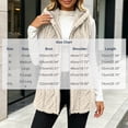 thumbnail image 3 of Hueook Vest for Women Fleece Sleeveless Zip Up Casual Plush Vest Coat with Pockets Beige XL, 3 of 7