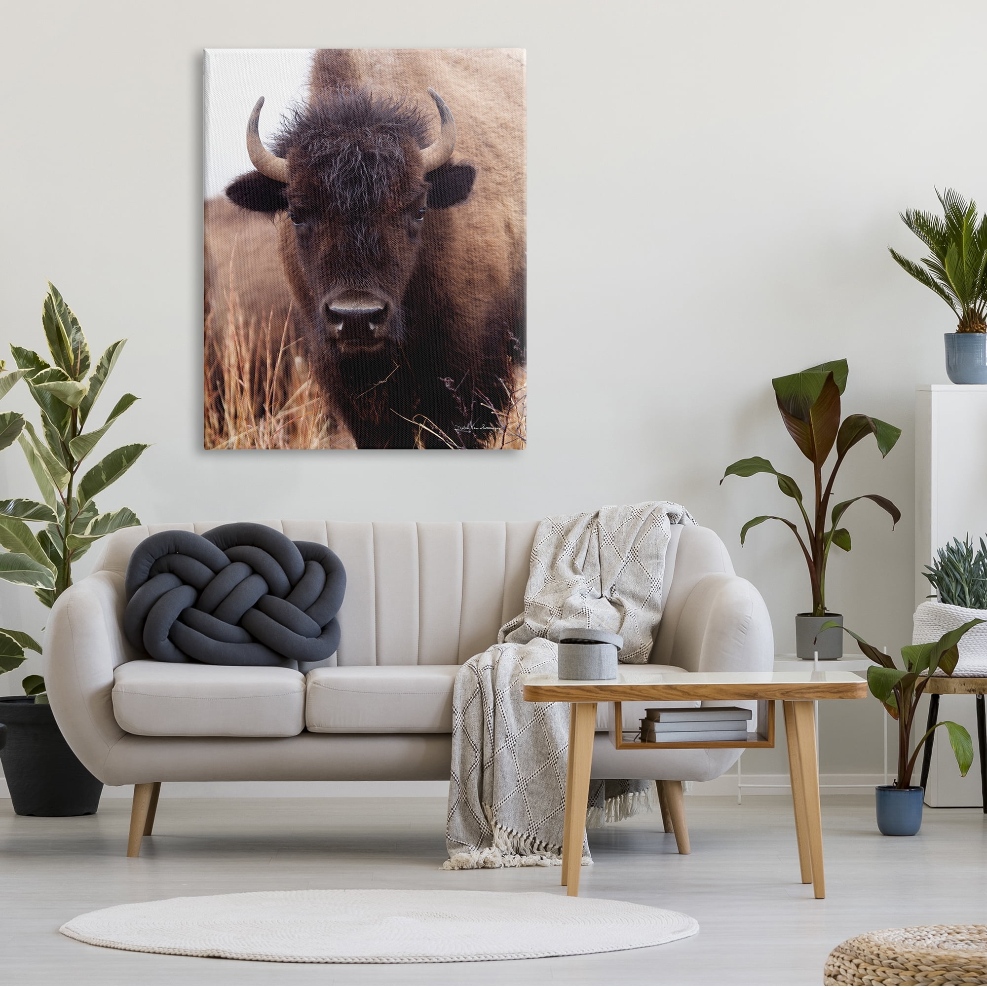 Stupell Industries Tall Grass Bison Portrait Country Cattle Autumn Photography, 36 x 48,Design by Debra Van Swearingen