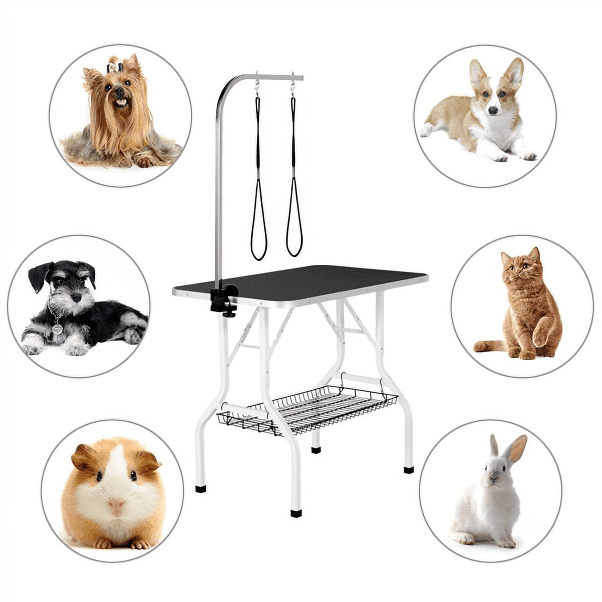 Renwick Pet Grooming Table Folding Adjustable Arm with Clamp Black, 36''