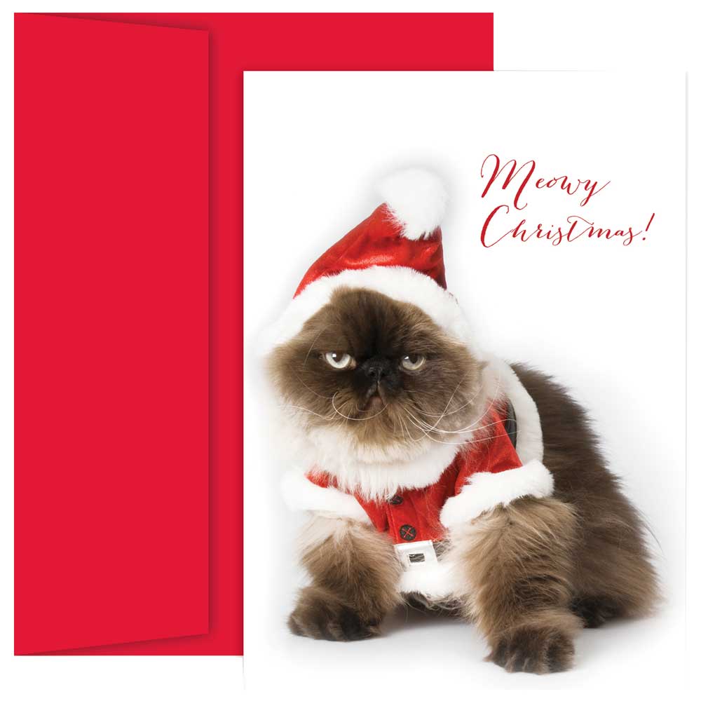 JAM Paper Christmas Card Set, Christmas Cat Holiday Cards, 18/pack