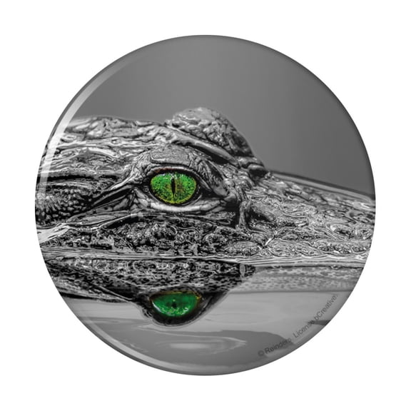 Alligator Black and White Green Eyes Pinback Button Pin