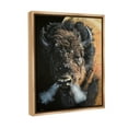 thumbnail image 4 of Stupell Industries Bison Breathing Steam Animals & Insects Photography Brown Floater Framed Canvas Art Print Wall Art, 17 x 21, 4 of 10