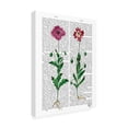 thumbnail image 2 of Trademark Fine Art 'Italian Carnation 3' Canvas Art by Fab Funky, 2 of 3