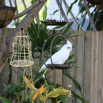 GAXIRE 2-Pack Hanging Bird Feeder Metal Cage Shape, Outdoor Wild Bird Seed Feeder, 4.72 x 2.75 x 2.75 inches