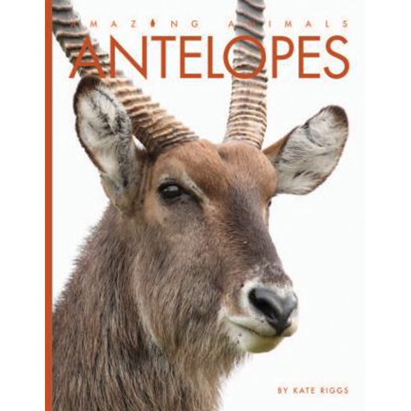 Pre-Owned Antelopes (Paperback) 1628322144 9781628322149