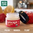 thumbnail image 3 of Eco Lips Organic Raspberry Lemon Lip Scrub & Plumping Daytime Lip Mask Combo 2 Pack 0.25each, 3 of 8